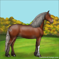 Horse Color:Silver Brown 