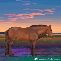 Horse Color:Chocolate Bay 