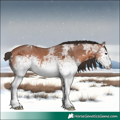 Horse Color:White Spotted Bay Ice