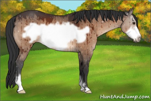 Horse Color:Brown Dun Frame Brindle 