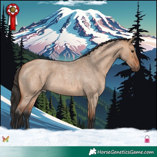 Horse Color:Bay Roan Dun 