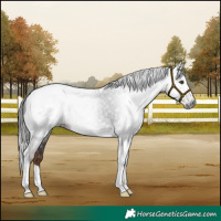 Horse Color:Gray Liver Chestnut Tobiano 