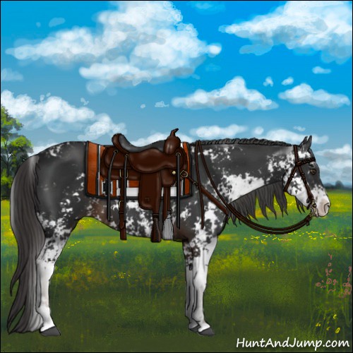 Horse Color:Liver Chestnut Sabino 