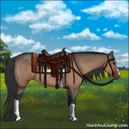 Horse Color:Brown Dun 