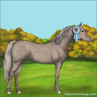 Horse Color:Silver Grullo Snowflake Varnish Brindle 