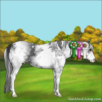 Horse Color:White Spotted Black