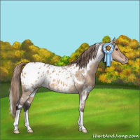 Horse Color:White Spotted Bay Dun Appaloosa 