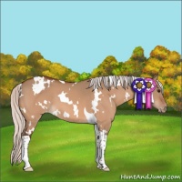 Horse Color:White Spotted Silver Bay Dun Tobiano Varnish 