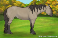 Horse Color:Smoky Grullo