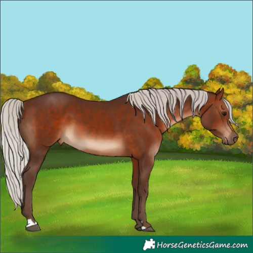 Horse Color:Silver Brown 
