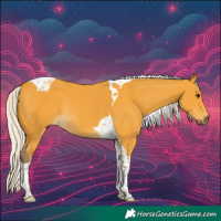 Horse Color:Silver Buckskin Tobiano Rabicano