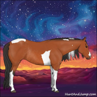 Horse Color:Bay Tobiano Rabicano 