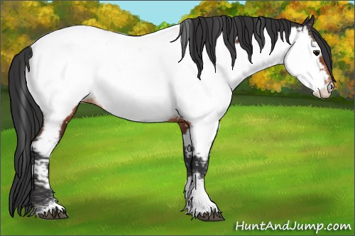 Horse Color:Bay Tobiano Near Fewspot 