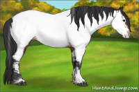 Horse Color:Bay Tobiano Near Fewspot 
