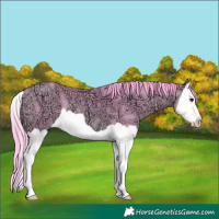 Horse Color:Watercolor Bay Ice Splash 