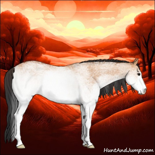 Horse Color:White Spotted Bay Dun Rabicano