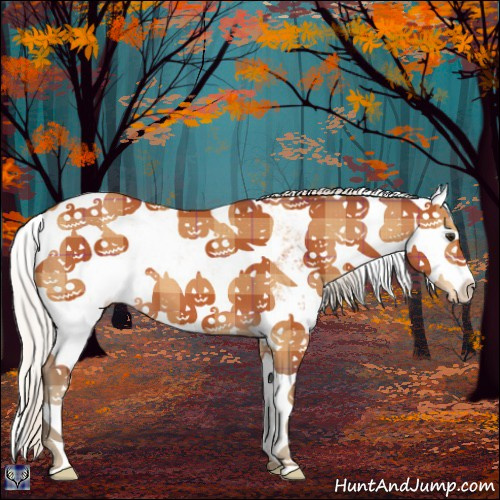 Horse Color:Plaid Silver Bay Sabino Appaloosa