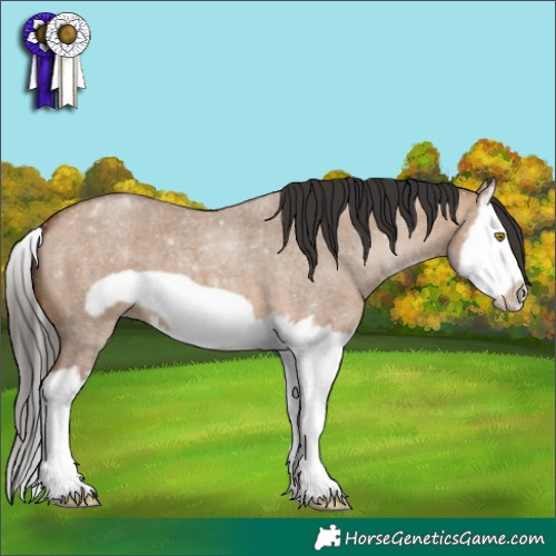 Horse Color:Bay Roan Dun Splash Frame
