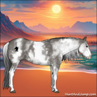 Horse Color:White Spotted Grullo Roan 