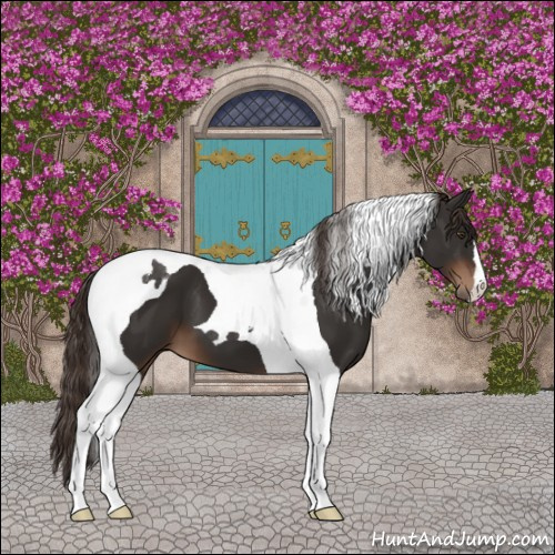 Horse Color:Liver Chestnut Tobiano 