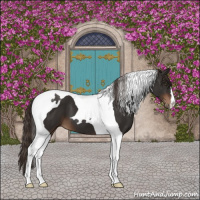 Horse Color:Liver Chestnut Tobiano 
