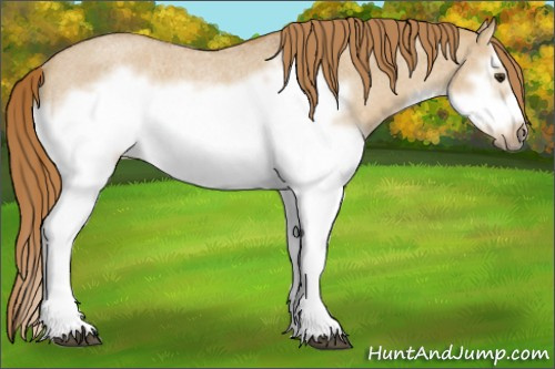 Horse Color:Red Dun Roan Splash Frame Rabicano 