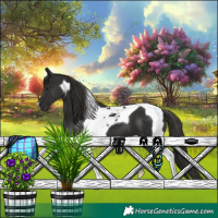 Horse Color:Liver Chestnut Tobiano 