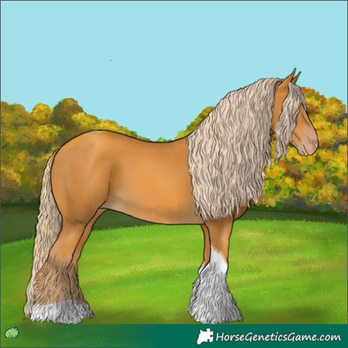 Horse Color:Gold Cream Champagne Tobiano