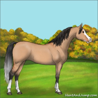 Horse Color:Bay Roan Dun Splash 