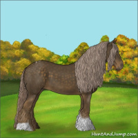 Horse Color:Chocolate Palomino Tobiano 