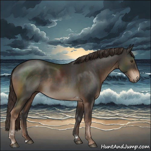Horse Color:Liver Chestnut Tobiano