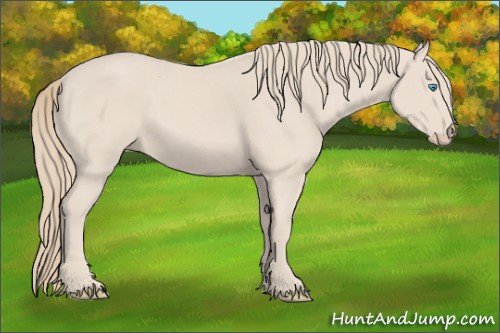 Horse Color:Smoky Creme 