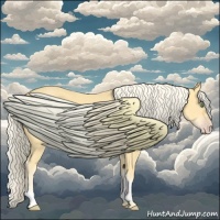 Horse Color:White Spotted Gold Cream Champagne