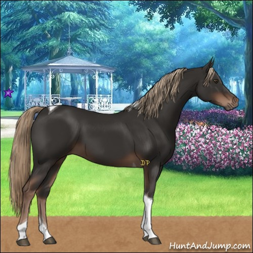 Horse Color:Liver Chestnut Tobiano