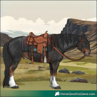 Horse Color:Liver Chestnut Tobiano 