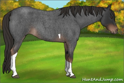 Horse Color:Liver Red Roan Tobiano 