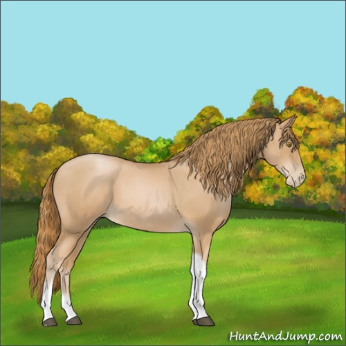 Horse Color:Red Roan Pearl Tobiano Frame 