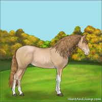 Horse Color:Red Roan Pearl Tobiano Frame 
