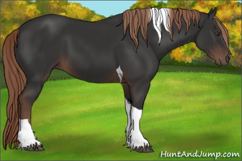 Horse Color:Liver Chestnut Tobiano