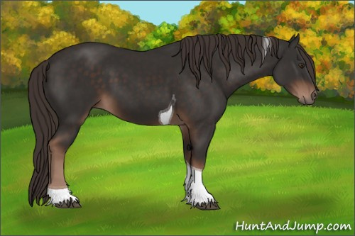 Horse Color:Liver Chestnut Tobiano 