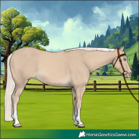Horse Color:Cremello Tobiano 