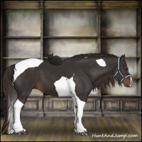 Horse Color:Liver Chestnut Tobiano 