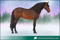 Horse Color:Brown 