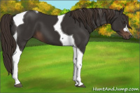 Horse Color:Liver Chestnut Tobiano 