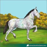 Horse Color:Liver Chestnut Ice Tobiano