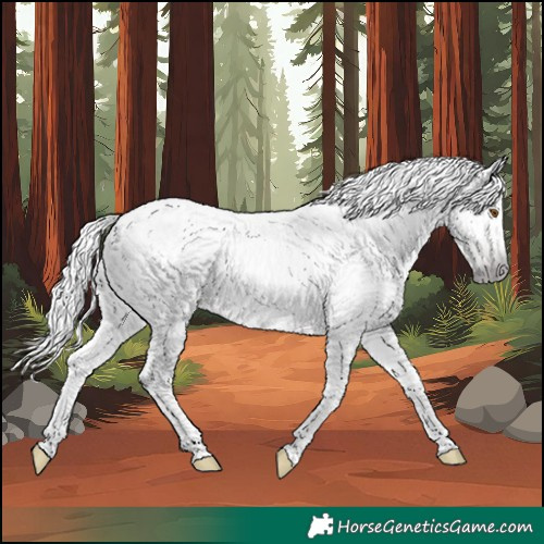 Horse Color:Gray Classic Champagne Dun 