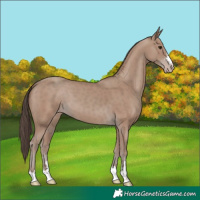 Horse Color:Classic Champagne 