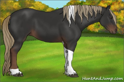 Horse Color:Liver Chestnut Tobiano