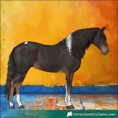 Horse Color:Liver Chestnut Tobiano 