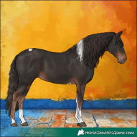 Horse Color:Liver Chestnut Tobiano 
